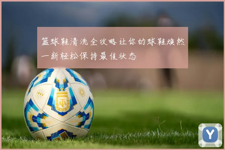 篮球鞋清洗全攻略让你的球鞋焕然一新轻松保持最佳状态