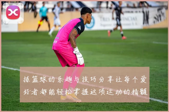 拣篮球的乐趣与技巧分享让每个爱好者都能轻松掌握这项运动的精髓